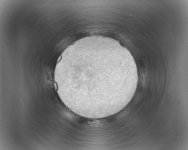 X0000064040430200602171649