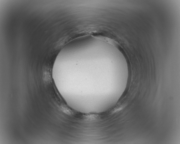 X0000064040432200602171649