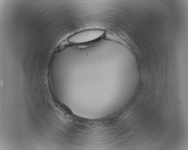 X0000064040434200602171648