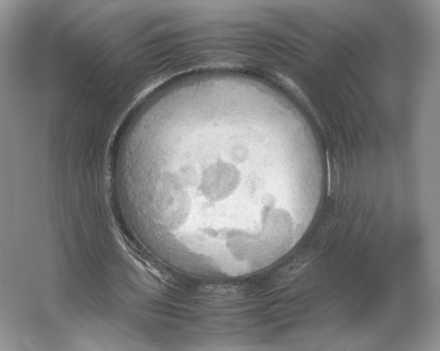 X0000064040435200602171648