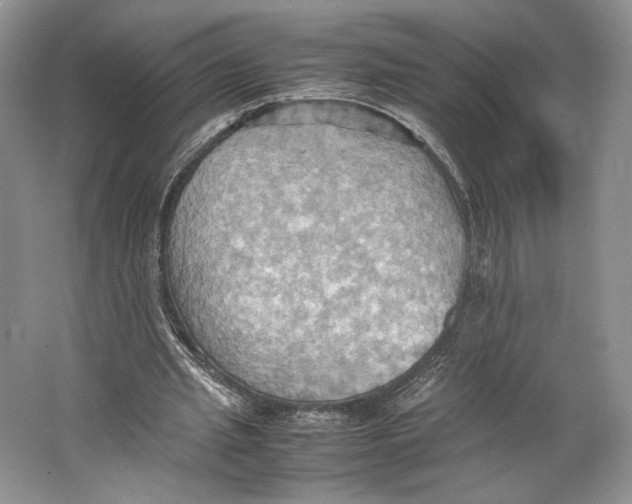 X0000064040437200602171648