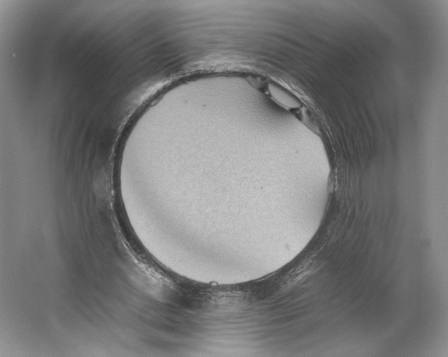 X0000064040438200602171648