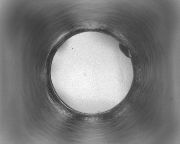 X0000064040440200602171648