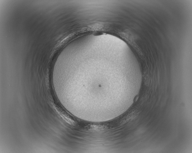 X0000064040442200602171648