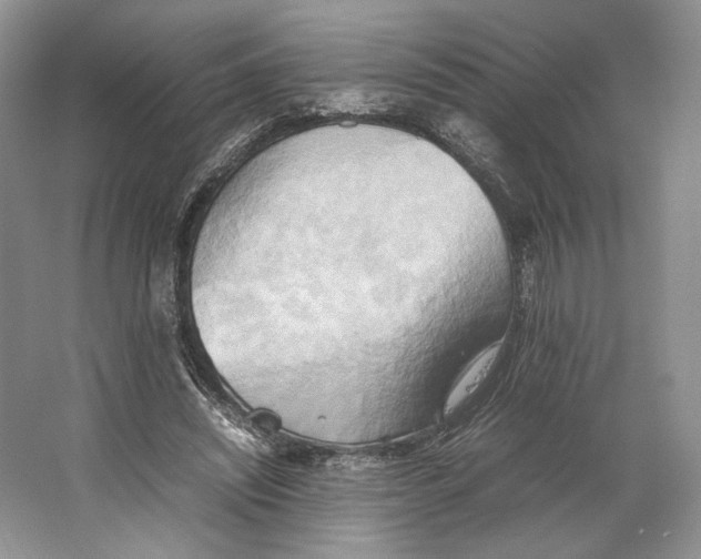 X0000064040444200602171648