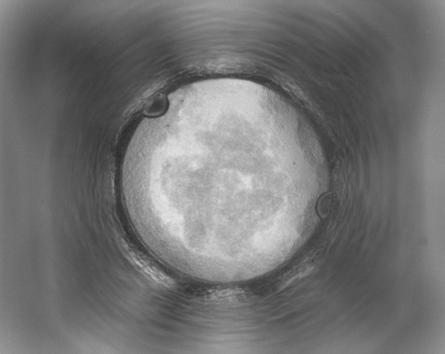 X0000064040446200602171648