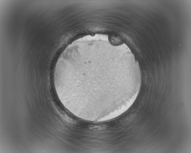 X0000064040447200602171648