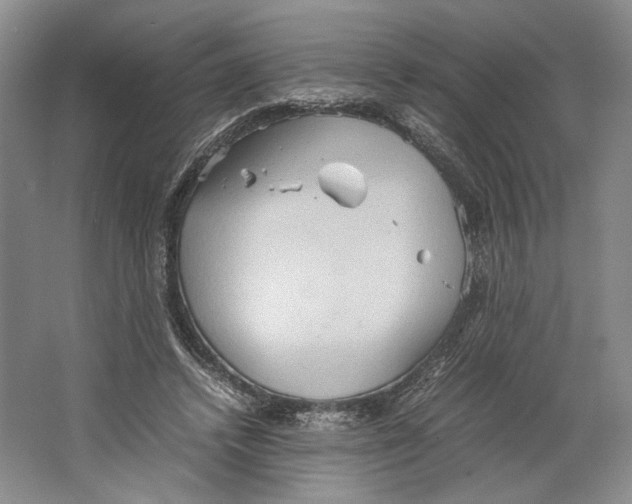 X0000064040448200602171648