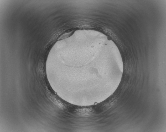 X0000064040449200602171648