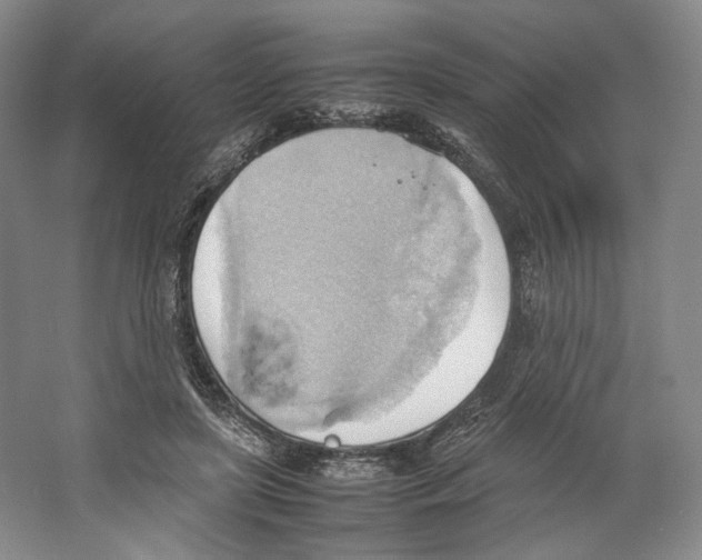 X0000064040451200602171648