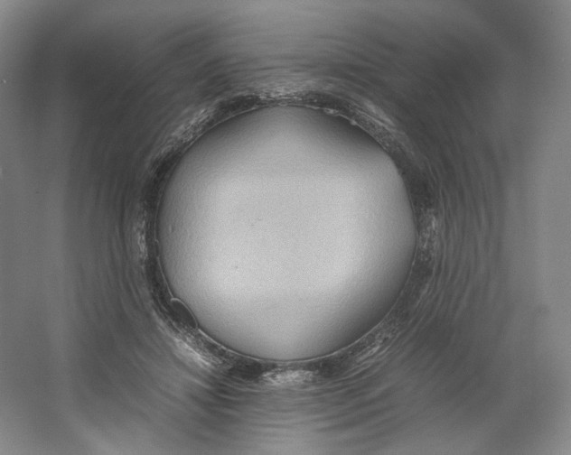 X0000064040452200602171648