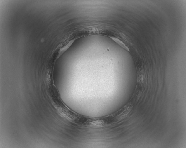 X0000064040456200602171649