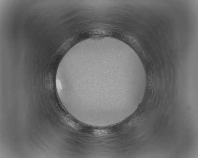 X0000064040457200602171649