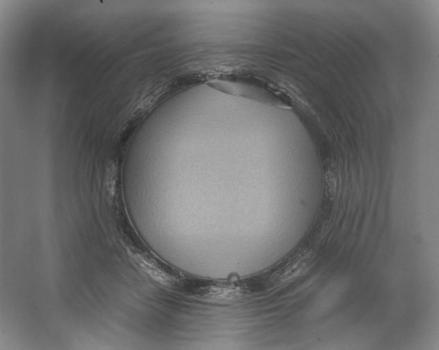 X0000064040458200602171649