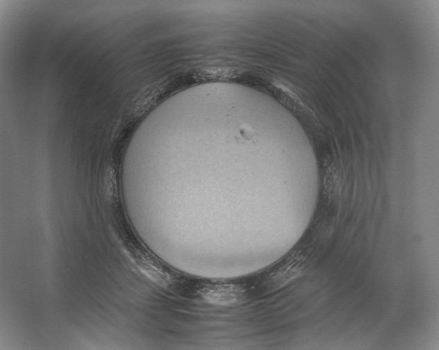 X0000064040459200602171649