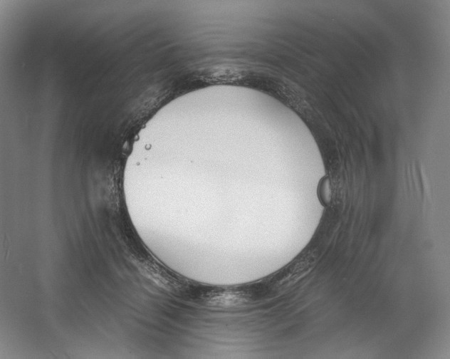 X0000064040460200602171649