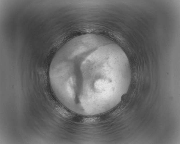 X0000064040461200602171649