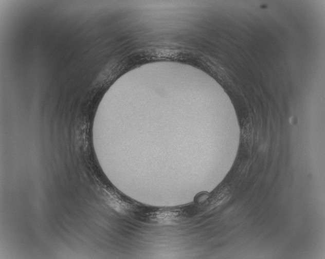 X0000064040462200602171649