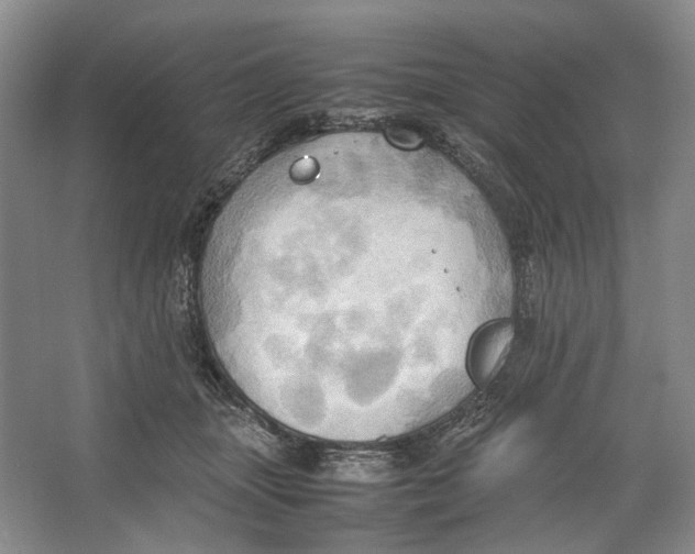 X0000064040463200602171649