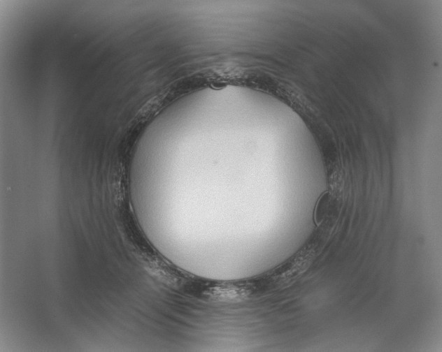 X0000064040464200602171649