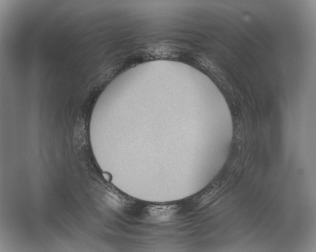 X0000064040465200602171649