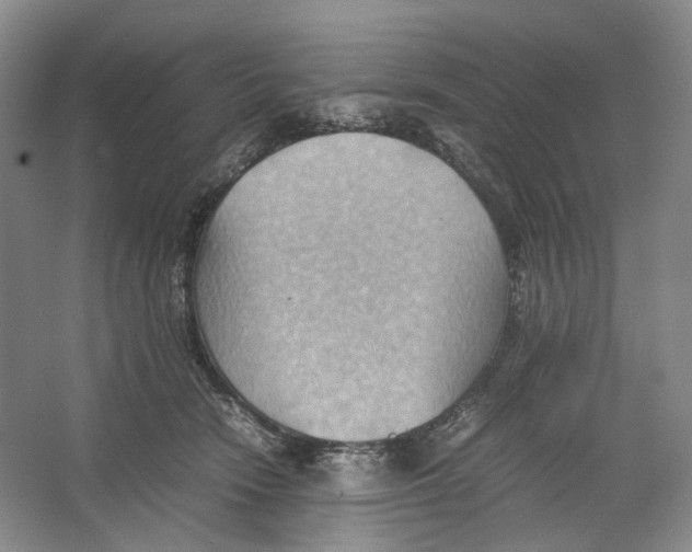 X0000064040466200602171649