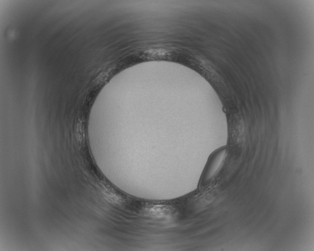 X0000064040467200602171649