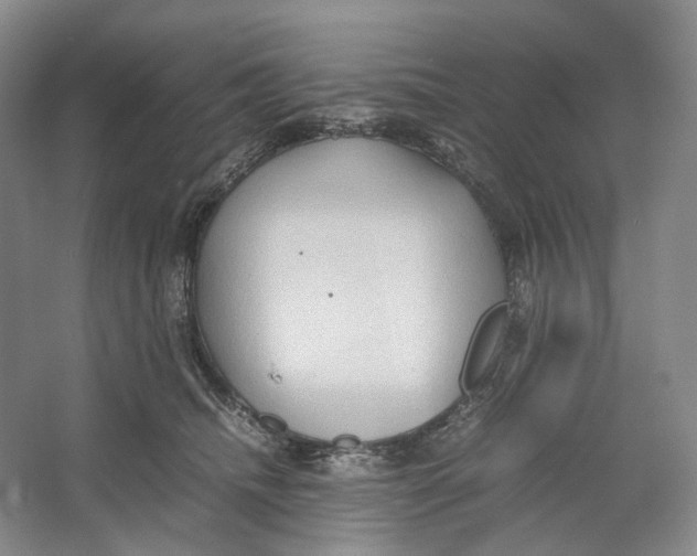 X0000064040468200602171649