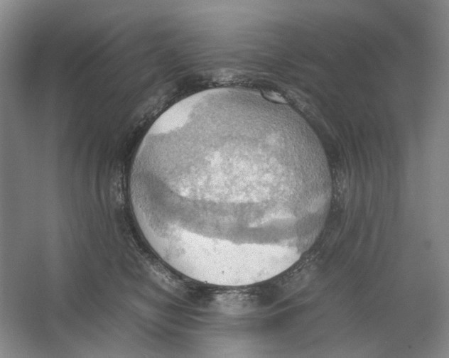 X0000064040470200602171649