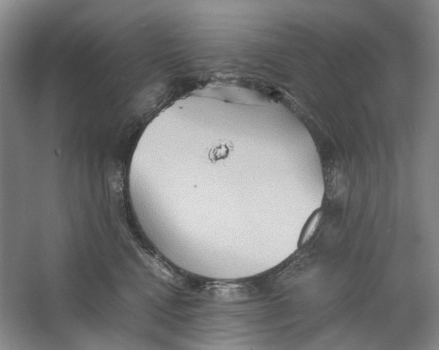 X0000064040472200602171649