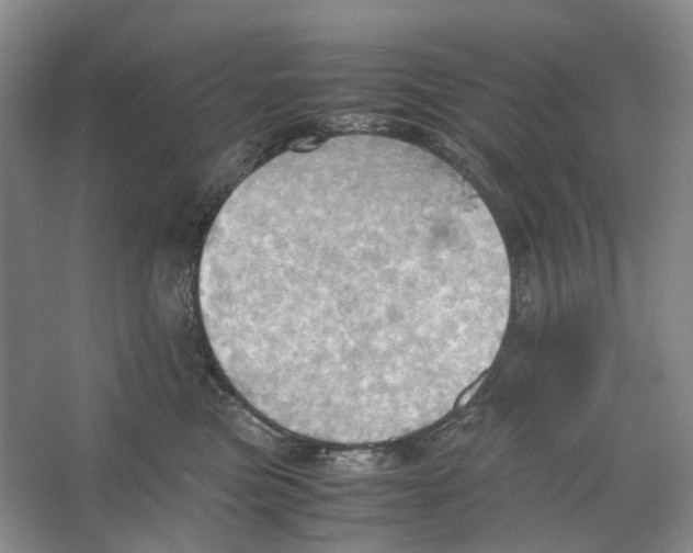 X0000064040473200602171649