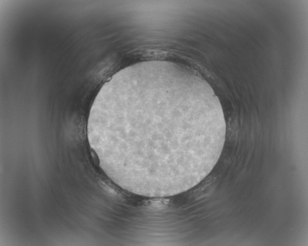 X0000064040474200602171649