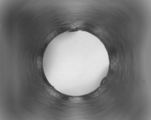 X0000064040476200602171649