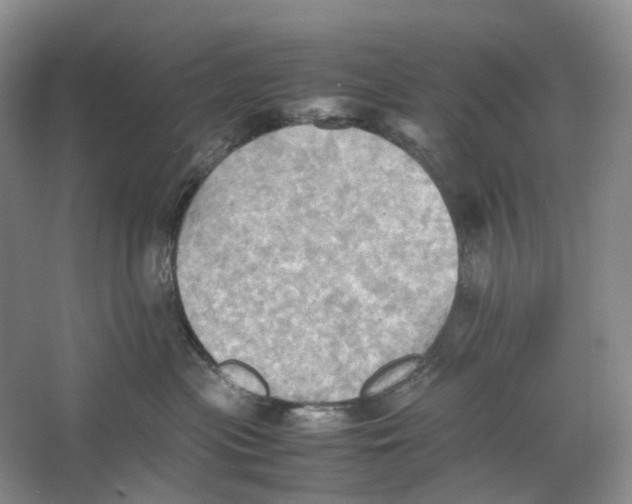 X0000064040477200602171649