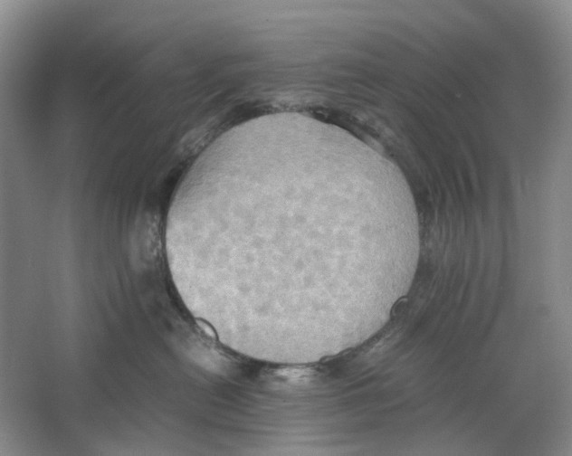 X0000064040478200602171649