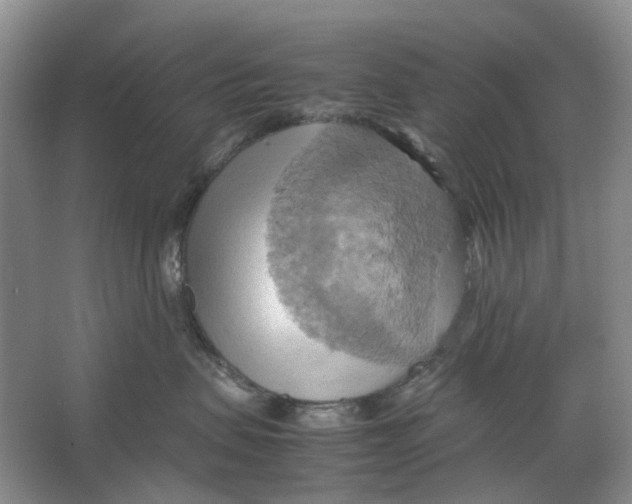 X0000064040479200602171649