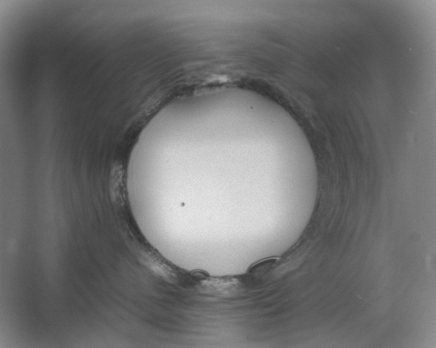 X0000064040480200602171649