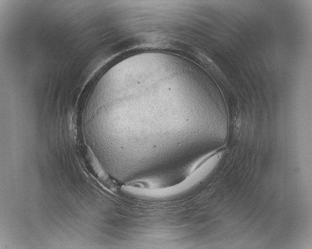 X0000064040484200602171648