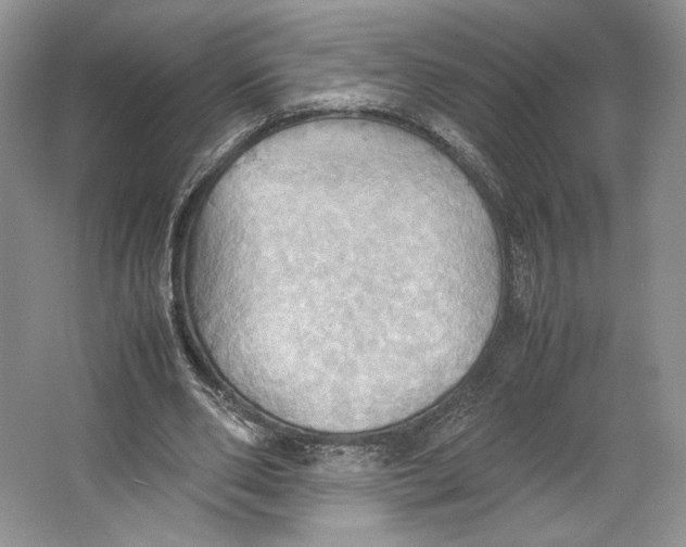 X0000064040486200602171648