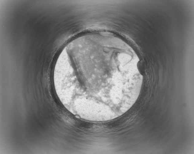 X0000064040487200602171648