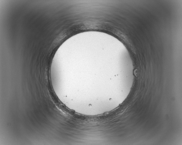 X0000064040489200602171648