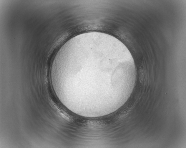 X0000064040490200602171648