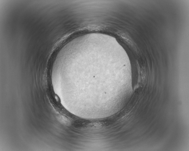 X0000064040492200602171648