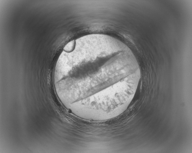 X0000064040495200602171648