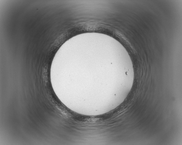 X0000064040497200602171648