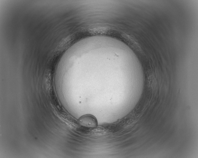 X0000064040498200602171648