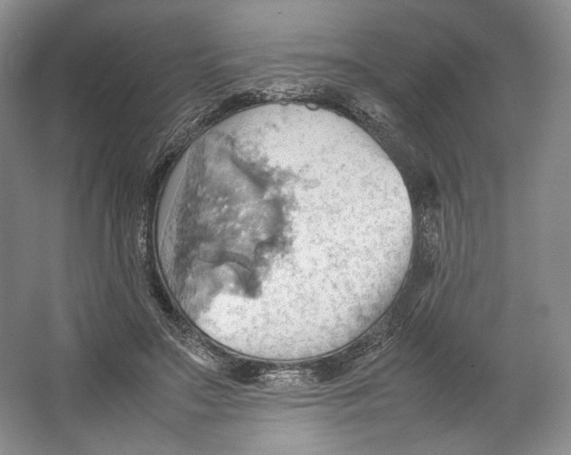 X0000064040499200602171648