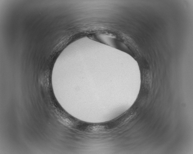 X0000064040501200602171648