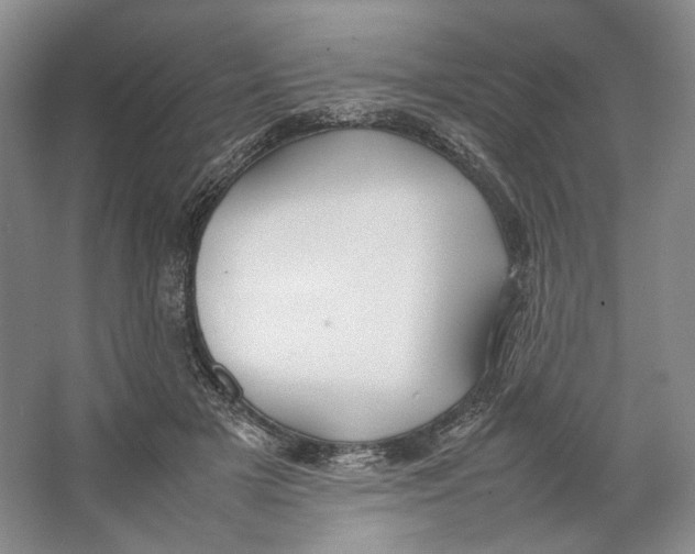 X0000064040505200602171648