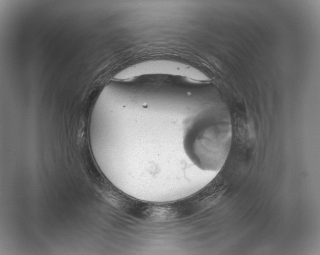 X0000064040507200602171648